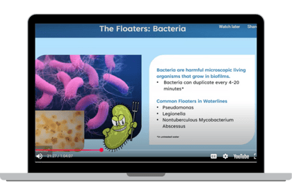 newsletter-ce-section-tija